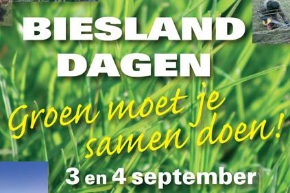 Biesland dagen 